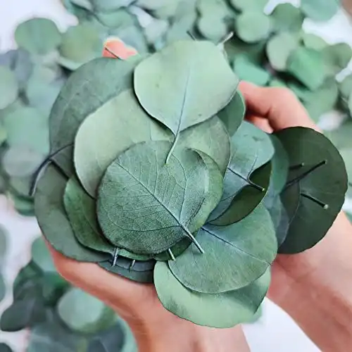 300+ Pcs Dried Real Eucalyptus Leaves, 100% Natural Preserved Bulk Silver Dollar Eucalyptus Green Leaves, Biodegradable Confetti for Weeding, DIY Wreath Baby Shower Cake Decor