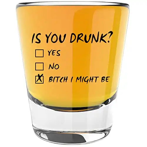 LitGifts Is You Drunk Shot Glass - Cute Shot Glasses for Women or Men - Funny Shot Glasses for Adults - Fun Gifts for Men or Women - 1.75 Ounce Glass Shot Glass